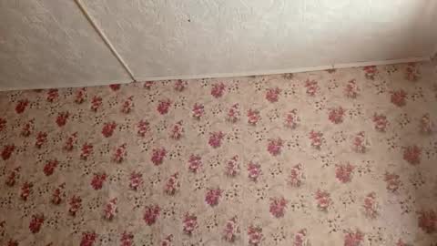 Snapshot of karoncabeza chatting on February 27, 7:19 am Sara online show from February 27, 7:19 am