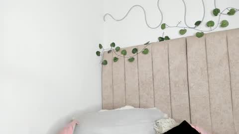           online show from January 12, 8:58 pm