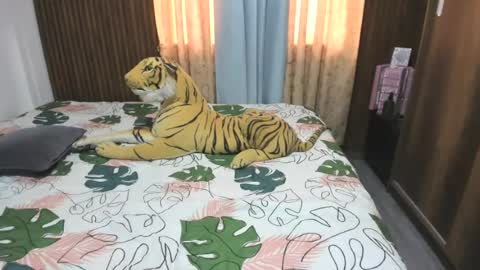 kata online show from June 13, 12:36 pm