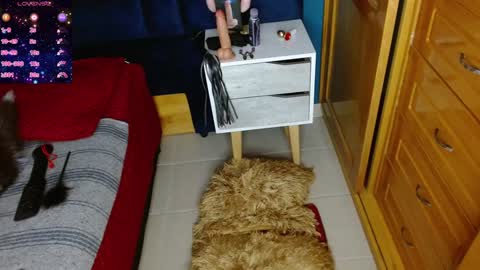 Snapshot of katty_berry_ chatting on December 2, 7:38 pm Arianna online show from December 2, 7:38 pm