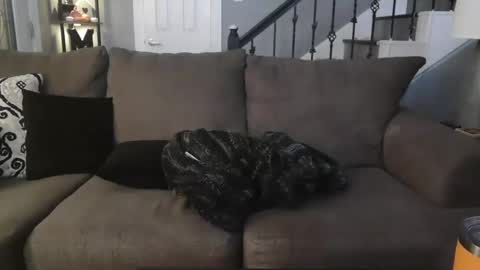 Snapshot of katycouple2003 chatting on October 5, 5:17 am katycouple2003 online show from October 5, 5:17 am