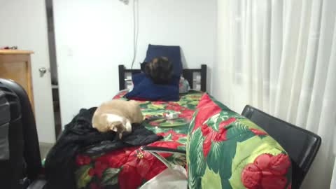  Khawit  online show from January 10, 12:01 am