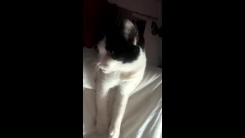 Snapshot of kay_la chatting on October 4, 10:13 am kay_la online show from October 4, 10:13 am