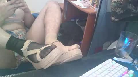 kcitrus online show from February 24, 7:39 am