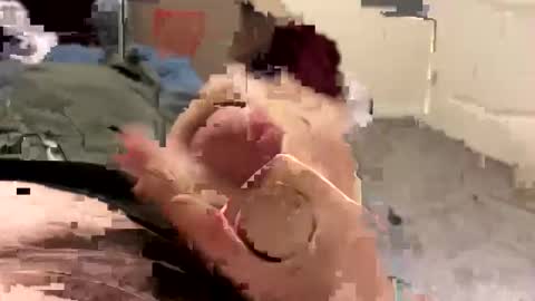 keegandaddy4200 online show from January 11, 6:07 am