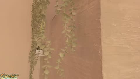 Snapshot of keirahartz chatting on April 16, 12:28 pm keirahartz online show from April 16, 12:28 pm