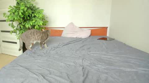 kelly_gerzikaaa online show from May 2, 3:44 am