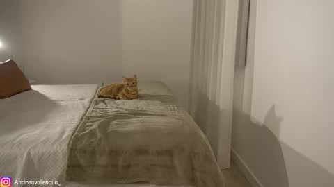 Andrea online show from March 10, 8:23 pm