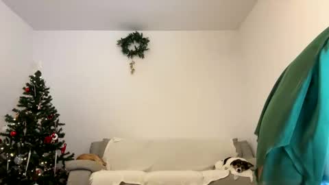 Kenna next time online - 2nd of Dec online show from December 23, 1:03 pm