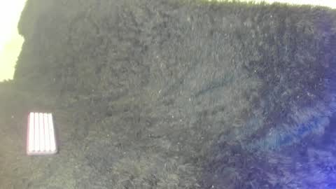 Kerly online show from April 29, 7:53 pm