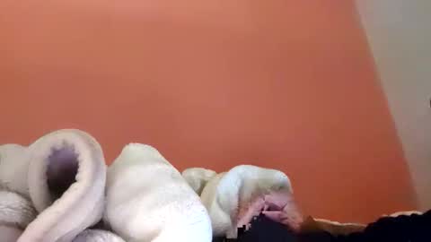 khawarhussain902 online show from November 17, 7:52 pm