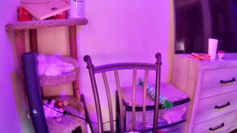 KevKev online show from April 13, 11:16 am