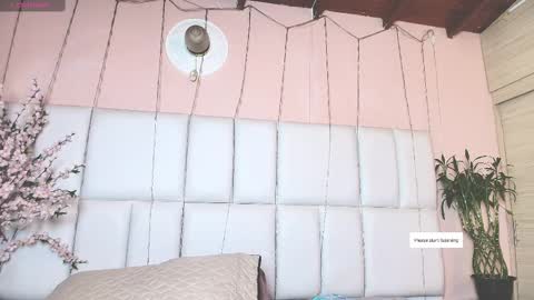    N         M online show from February 10, 11:36 am