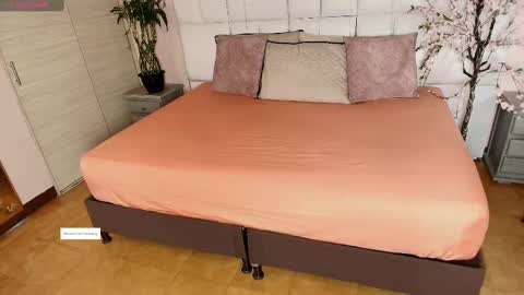    N         M online show from February 26, 11:30 am