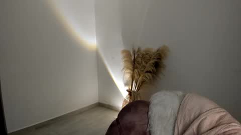 Kim Murphy online show from November 20, 1:00 pm