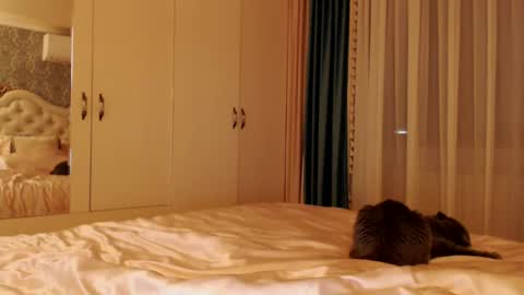 Kim Lee  online show from December 14, 7:14 pm