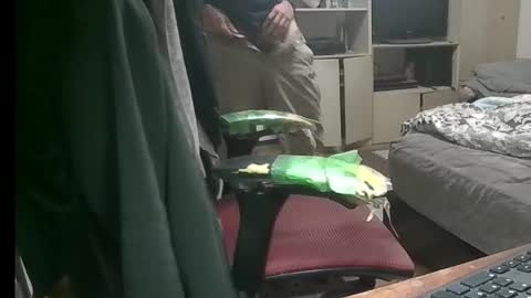 kinchan069 online show from November 9, 7:50 am