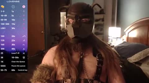 kinkywolf87 online show from December 31, 7:10 am