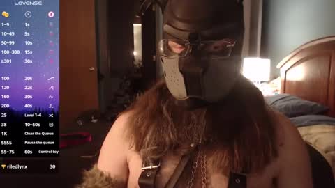 kinkywolf87 online show from March 6, 8:41 am