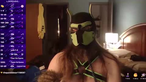 kinkywolf87 online show from October 19, 5:30 am