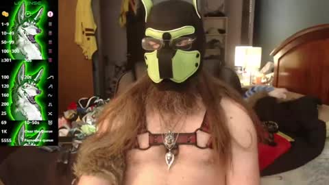Snapshot of kinkywolf87 chatting on July 5, 9:44 pm kinkywolf87 online show from July 5, 9:44 pm