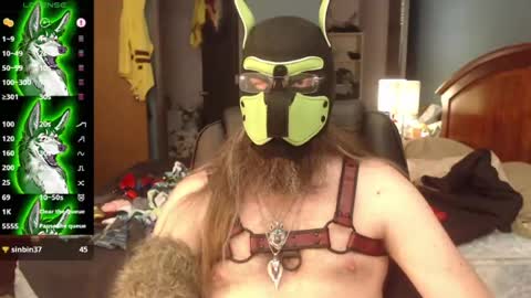 Snapshot of kinkywolf87 chatting on July 8, 7:29 pm kinkywolf87 online show from July 8, 7:29 pm