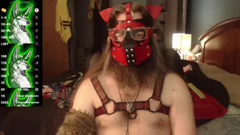 Snapshot of kinkywolf87 chatting on July 22, 4:54 pm kinkywolf87 online show from July 22, 4:54 pm