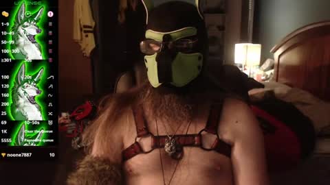 Snapshot of kinkywolf87 chatting on July 24, 4:43 am kinkywolf87 online show from July 24, 4:43 am