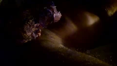 Snapshot of kitkat_loco1 chatting on November 3, 9:54 am Kitkat loco online show from November 3, 9:54 am