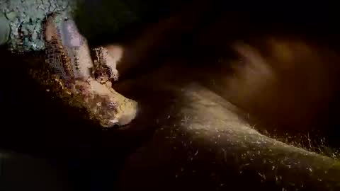 Snapshot of kitkat_loco1 chatting on November 4, 7:40 am Kitkat loco online show from November 4, 7:40 am