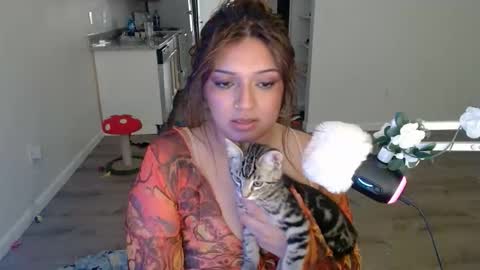 kittengonewild online show from May 24, 11:32 pm