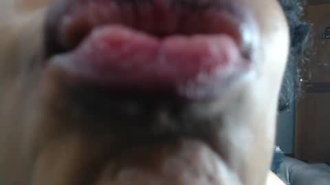 Snapshot of kitty_pervertedx chatting on January 23, 3:48 am kitty online show from January 23, 3:48 am