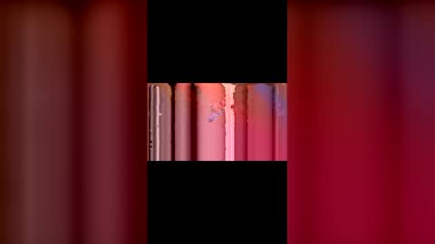 kittypurrrrry online show from March 2, 5:31 pm