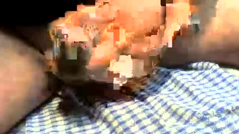 klok8230 online show from March 27, 1:22 pm