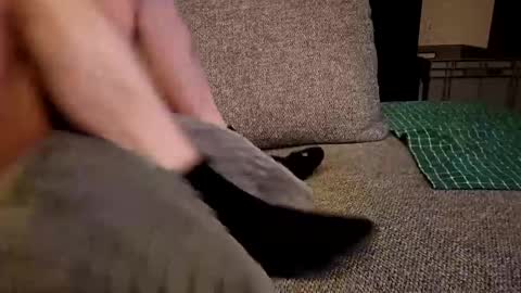 Snapshot of koelie1982 chatting on December 19, 1:28 am koelie1982 online show from December 19, 1:28 am