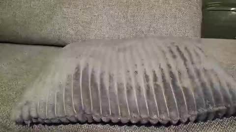 Snapshot of koelie1982 chatting on January 22, 1:10 am koelie1982 online show from January 22, 1:10 am