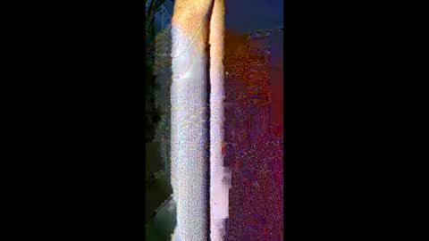 Snapshot of komi235 chatting on February 24, 8:01 am komi235 online show from February 24, 8:01 am