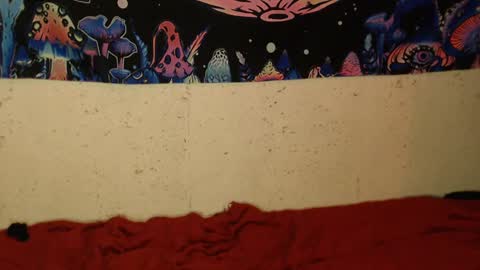 konekokawai online show from February 12, 1:41 am