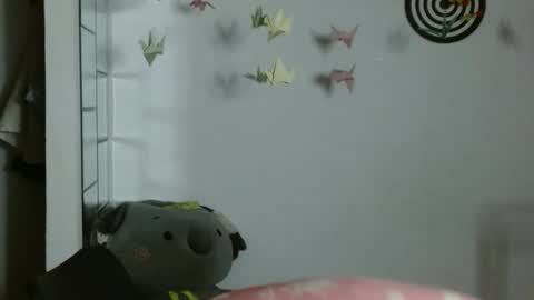 Karoll online show from January 13, 1:11 am