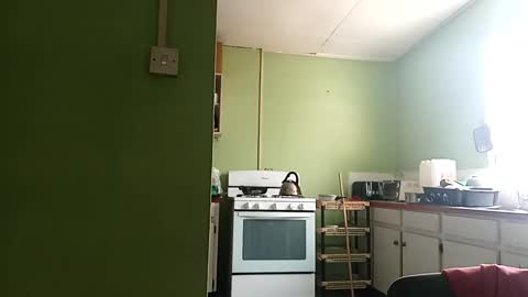 Snapshot of korn4lyfe chatting on March 1, 1:29 pm Prince makonnen online show from March 1, 1:29 pm