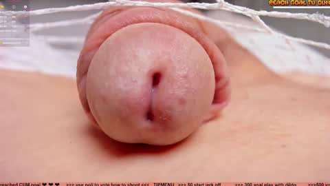 Petra online show from November 4, 7:46 pm