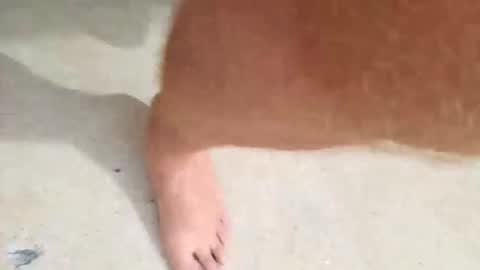 kramit1222 online show from September 24, 4:43 pm