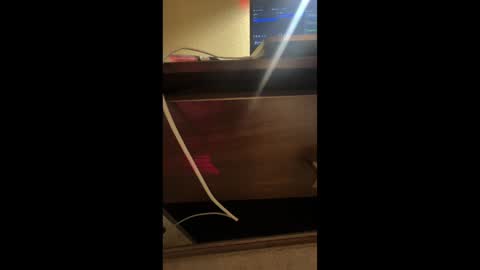 krisnona online show from January 4, 5:27 am