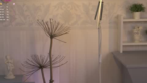 Ksesha online show from February 6, 3:48 am