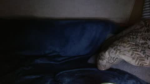 Kyle chat online show from April 4, 6:33 am