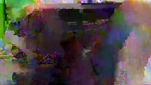 kylevogt2024 online show from April 14, 3:56 am