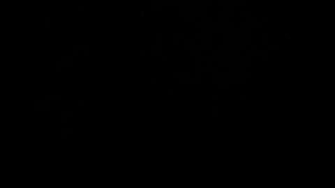 kylie_bloom online show from October 31, 6:20 pm