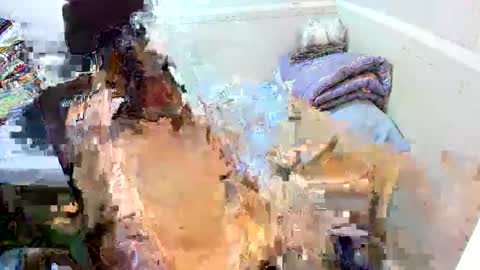 Snapshot of kylinebigloader chatting on September 11, 4:56 am Eynah online show from September 11, 4:56 am