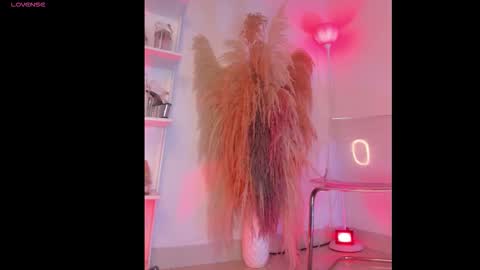 Colorina  online show from January 12, 11:04 am