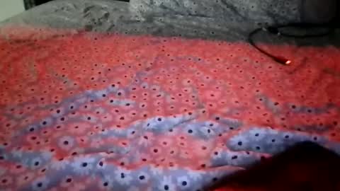 Snapshot of ladycinnabon chatting on December 15, 1:54 am Stephanie online show from December 15, 1:54 am